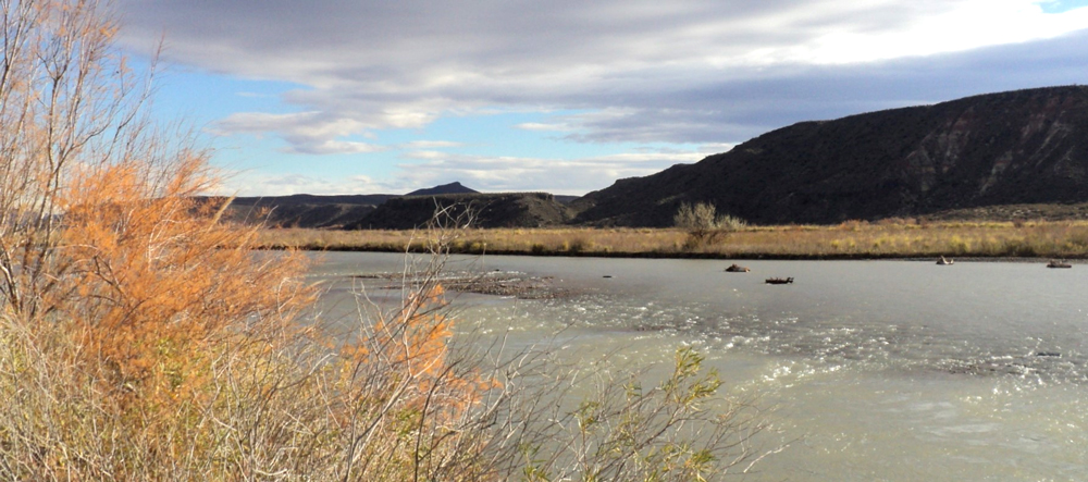Sobre la gestión del Agua