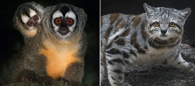 El valor de la biodiversidad