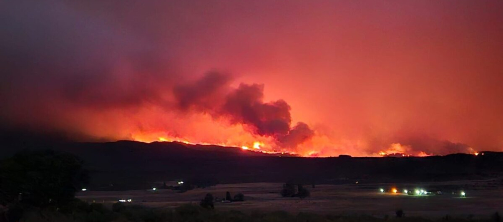 incendios forestales y su prevención
